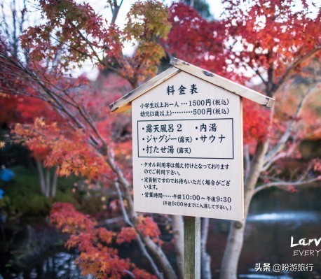 日本关西京都奈良旅游,日本关西自由行之奈良