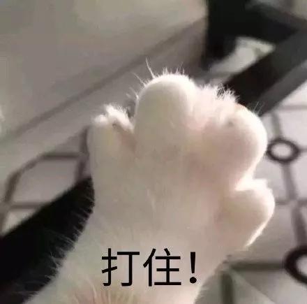 倩碧腮红性价比,倩碧樱花色腮红