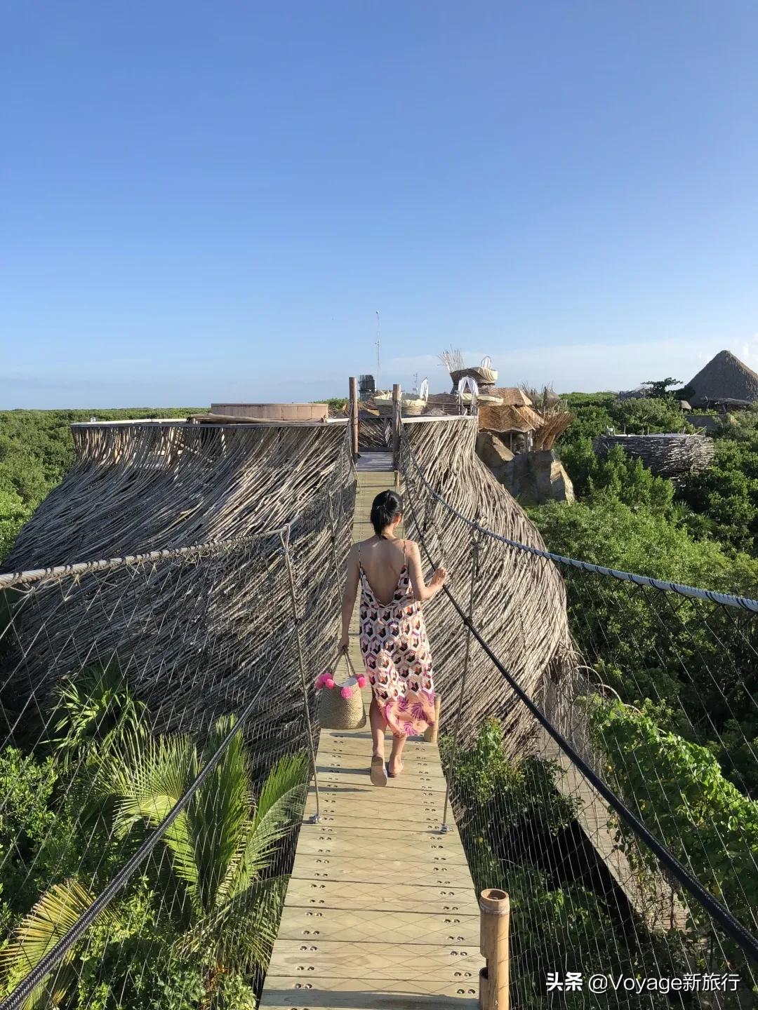 我们采访了6位旅行KOL，靠环游世界爆火还赚钱，太让人眼红了！