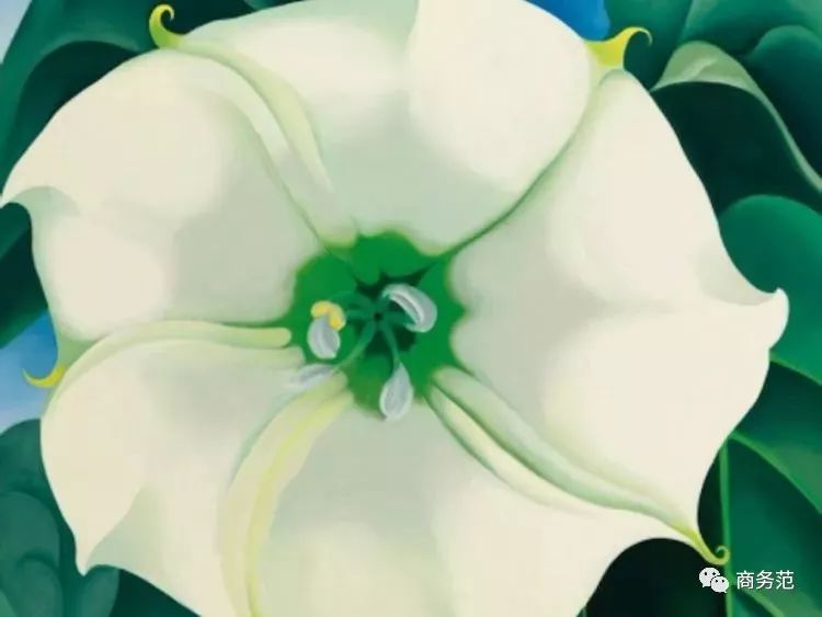 全世界最有钱的25个家族,世界上最富有家族每天赚400万