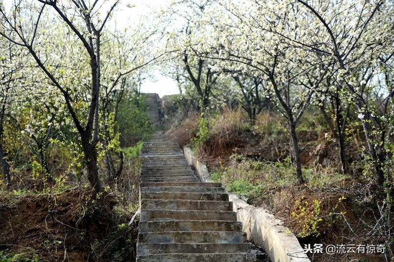 孙中山先生为其《传》亲笔题写序文的他，原来长眠于此