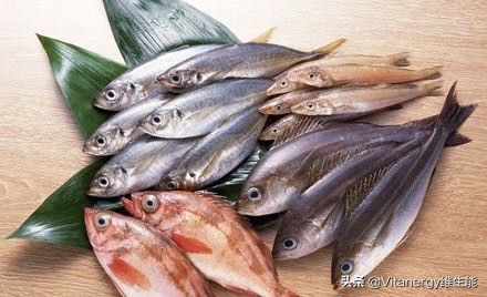 鱼油骗局解说,鱼油的内幕