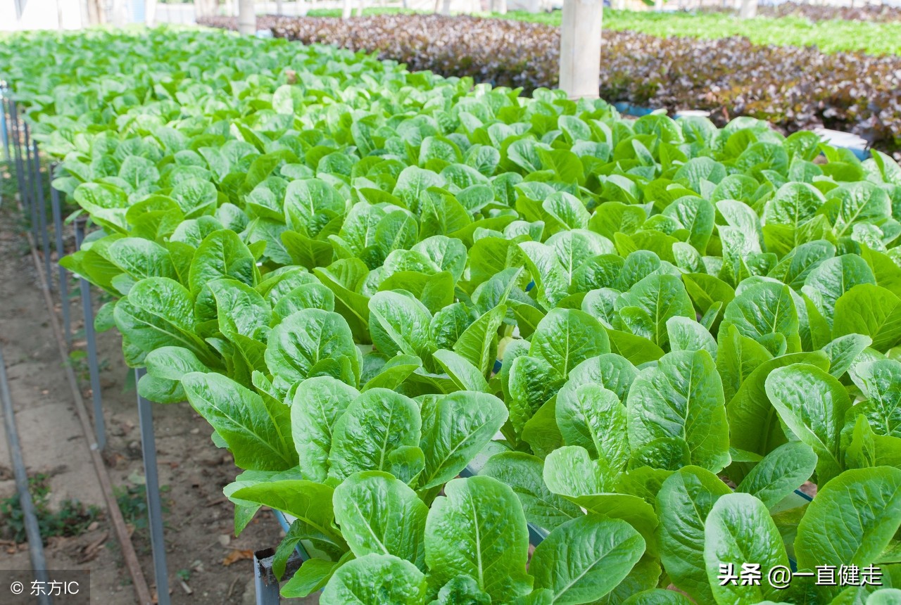 一目了然——《诗经》（256——265）