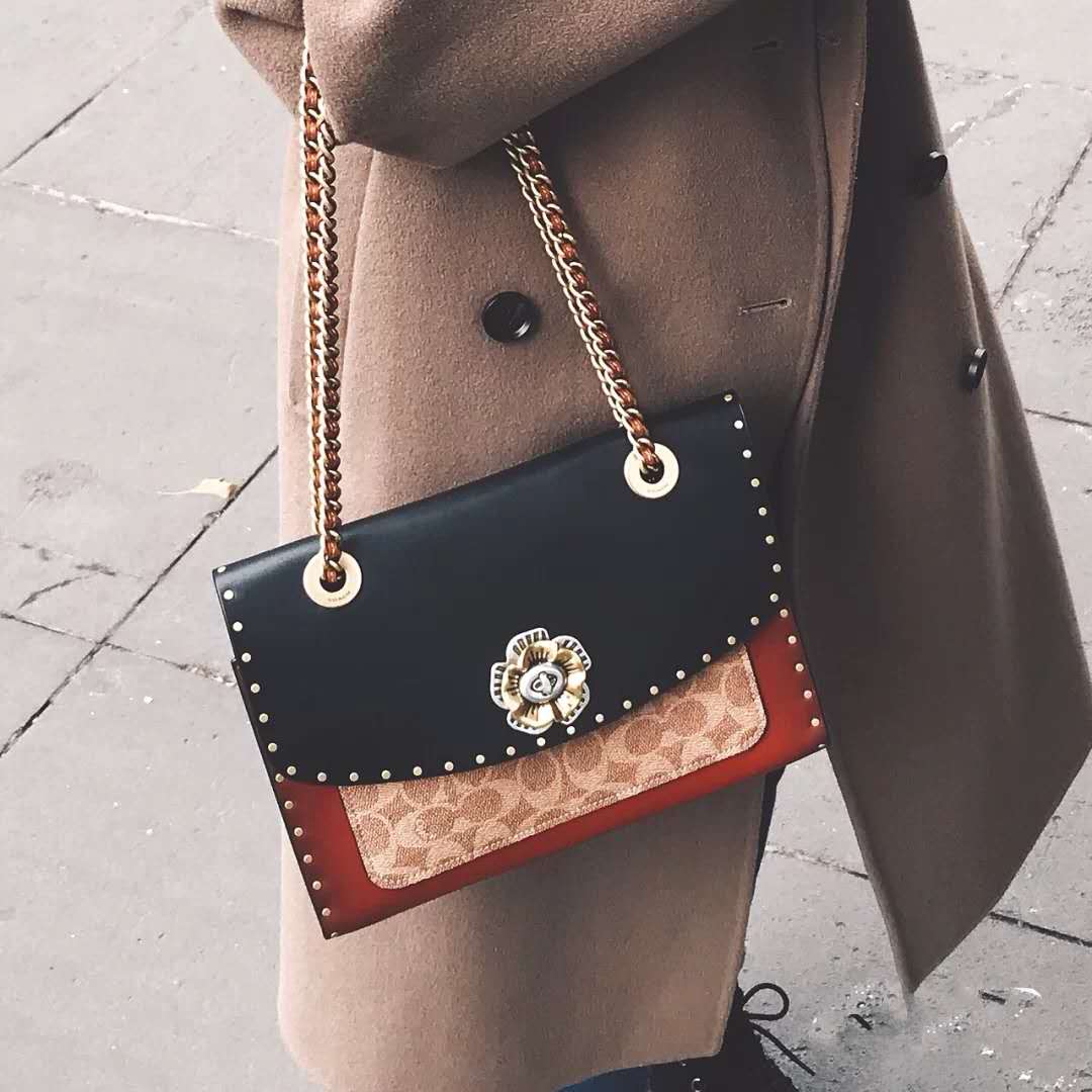 之前辱华的有哪些品牌,蔻驰辱华事件始末