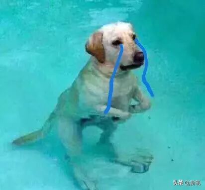 俄罗斯的化妆品便宜吗,俄罗斯的化妆品为啥全世界最便宜