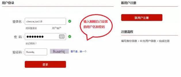 网版征信查询上征信吗,网查征信为什么是简版的