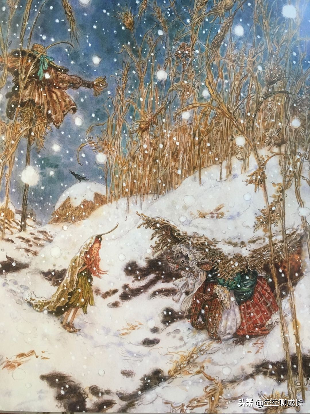 童话故事拇指姑娘阅读感悟,童话拇指姑娘故事