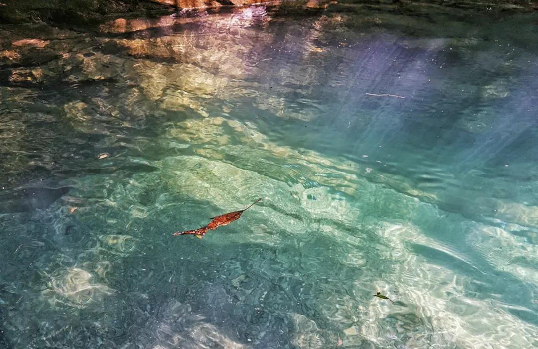 重庆暑假避暑好去处,暑假来了去哪里玩