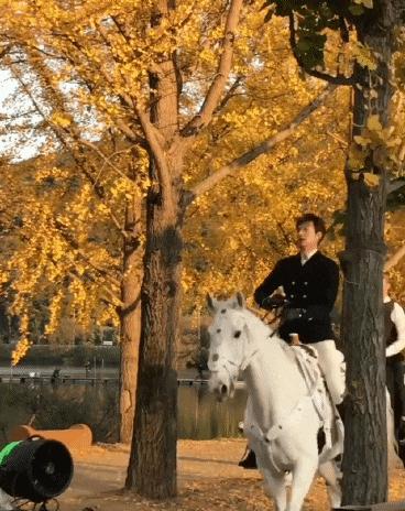 韩国欧巴李敏镐,李敏镐欧巴颜值巅峰