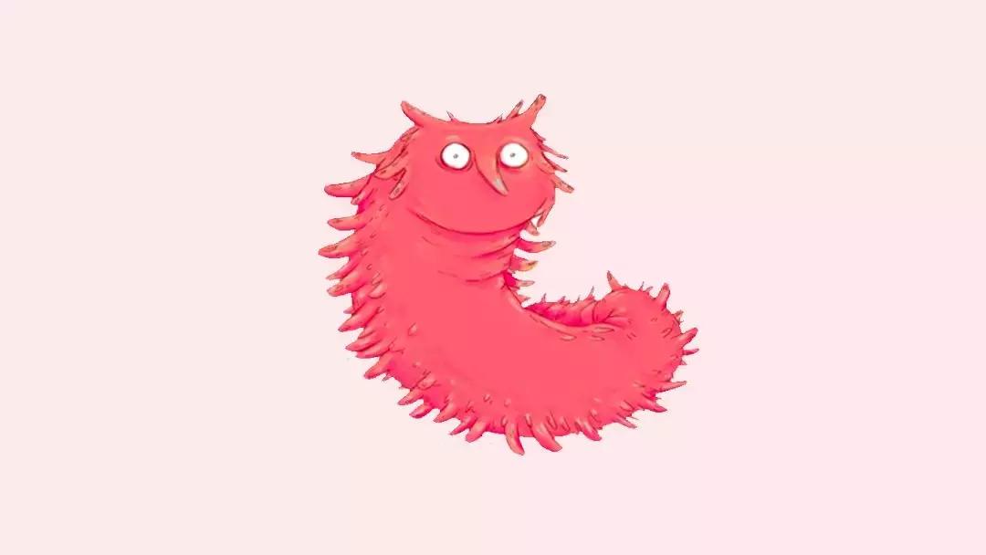 癌症吃海参能抗癌吗,海参营养辟谣