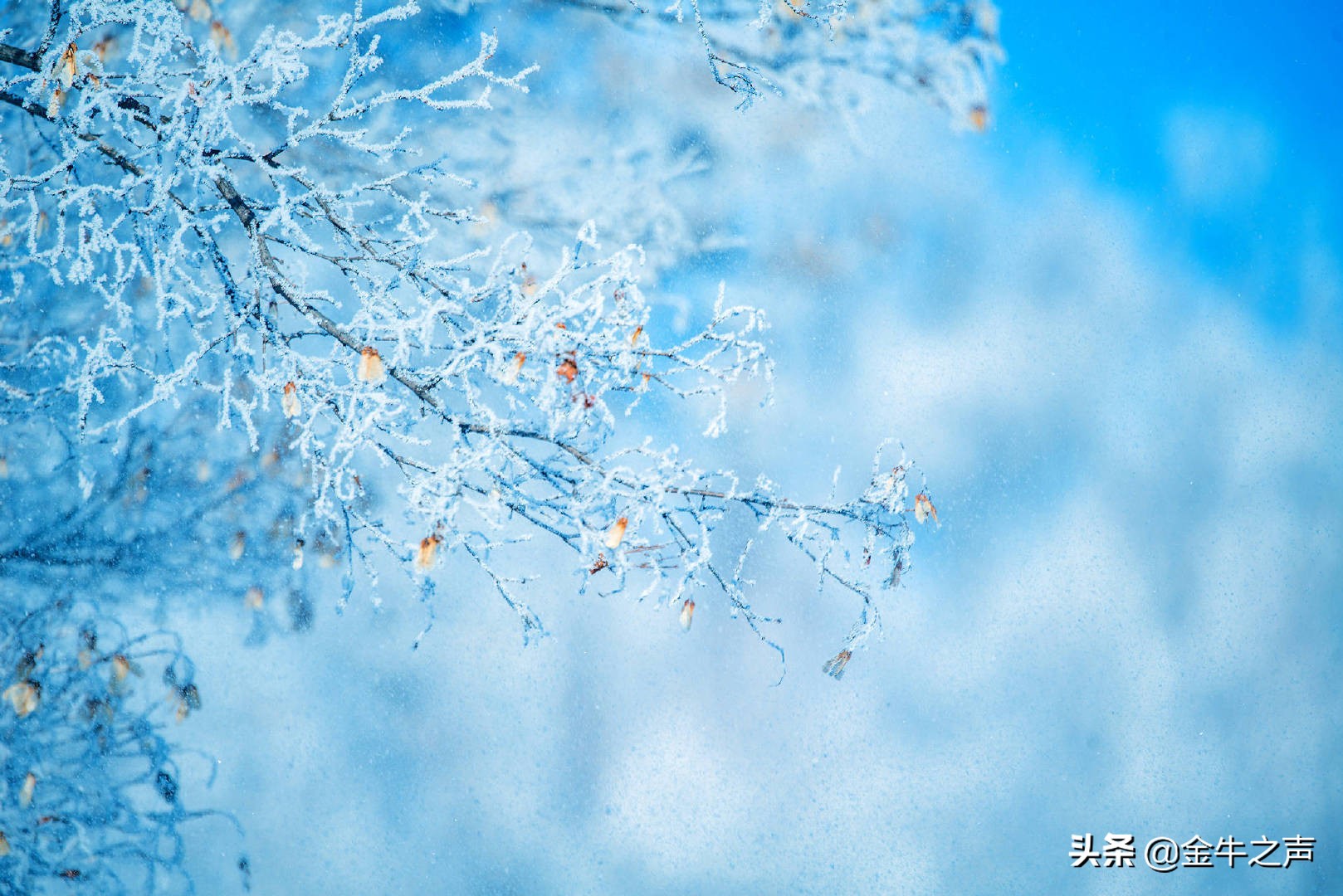 诵读国学传诵经典,关于国学经典传诵的视频