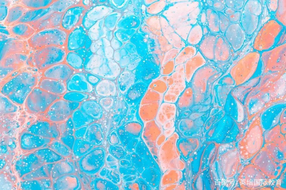 冠状病毒英语口语,新型冠状病毒句子英语