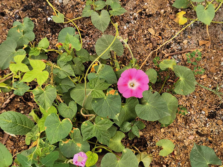 隐藏在大山的民宿酒店,最便宜的民宿客栈价格