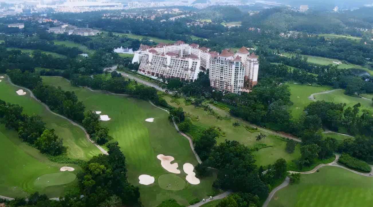 华为与龙华,霸气华为