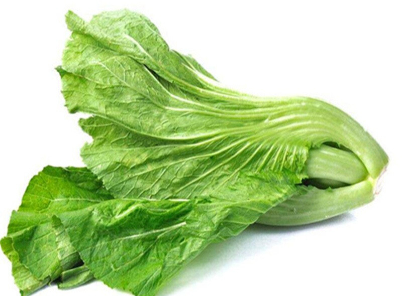 诗经卉木萋萋,卉木萋萋仓庚喈喈采蘩祁祁读音