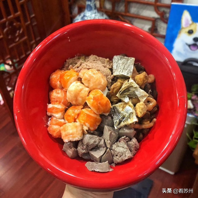 戴LV项圈、吃进口零食、住定制宾馆，网友：活得不如狗