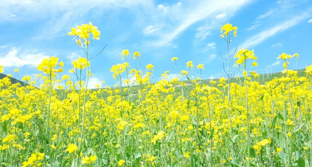青春期孩子心理疏导十个方法视频,青春期孩子心理问题怎么疏导书籍