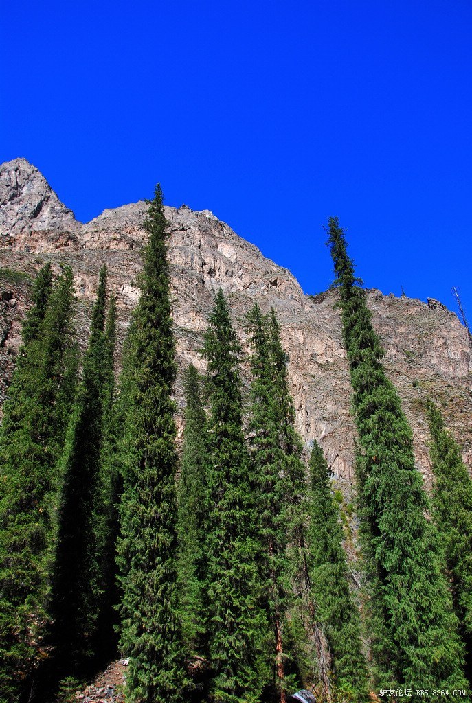 狼c调简谱教唱,狼c