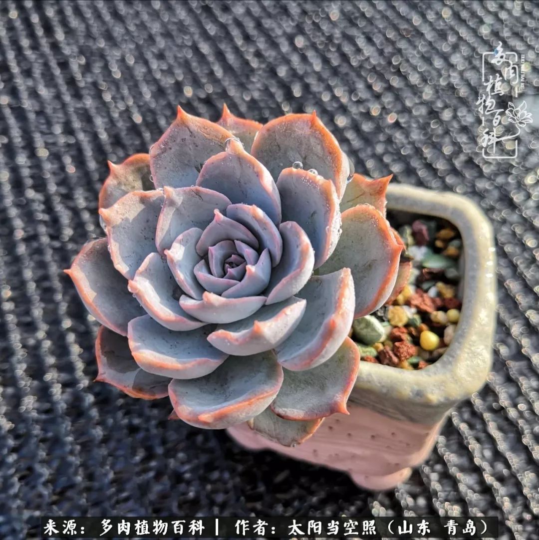 离家在外才发现最难忘的是故乡情,离家在外看见家乡的东西