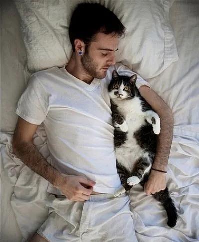 自从有了猫,自从有了猫慢慢变多余