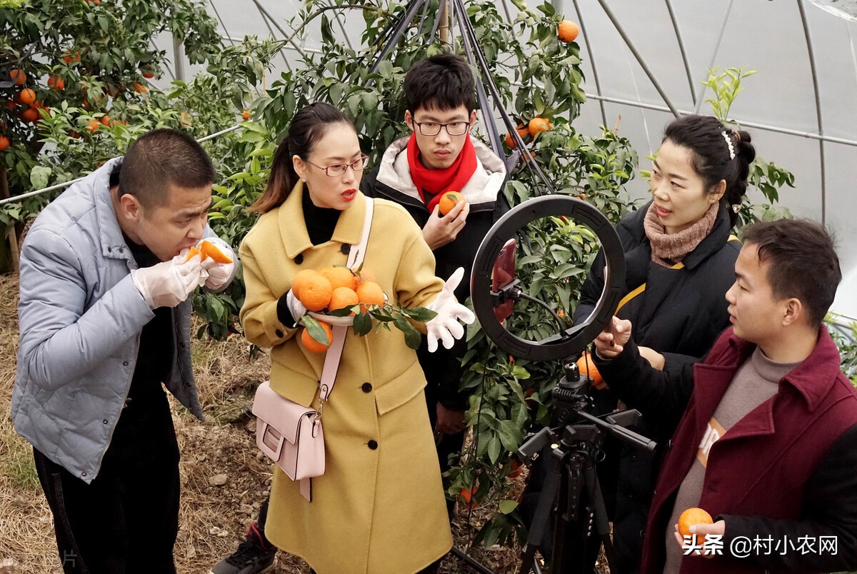 农村最赚钱的创业项目是,2022年农村创业致富的好项目