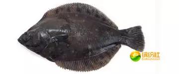 舟山4月份海鲜攻略,舟山海鲜代加工攻略