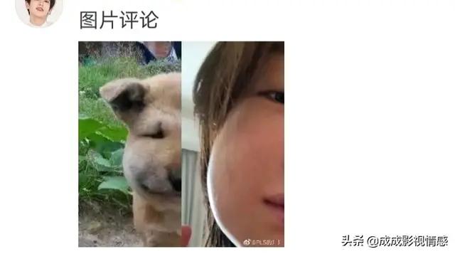 谋女郎周冬雨新电影定档七夕,2016年出道6年的谋女郎周冬雨