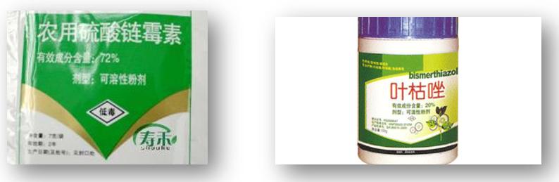 大蒜素能预防真菌感染吗,大蒜素治疗细菌感染