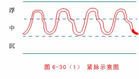 中医把脉入门必背口诀翻译,把脉入门必背口诀粤语版