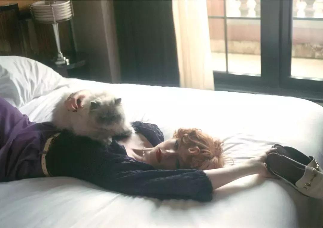 2018春季新款纯色针织,日本最新的品牌服饰