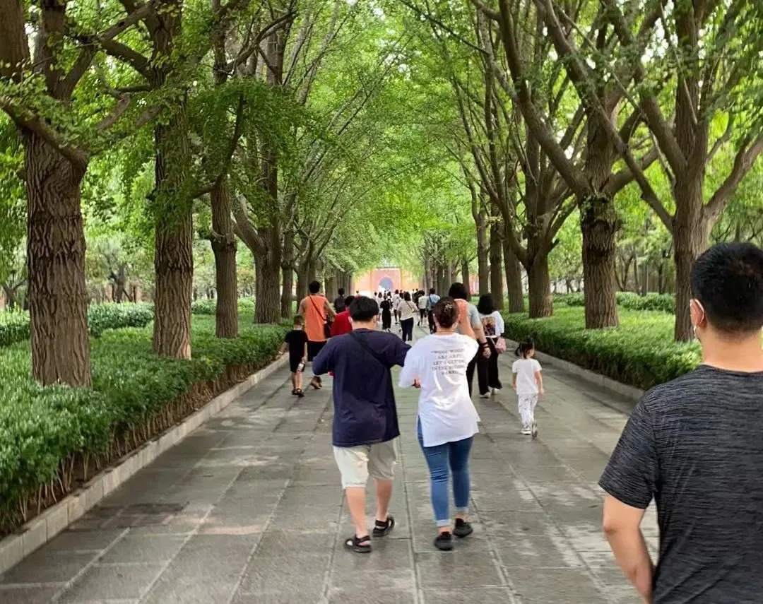 我在天庭做代购小说,我在原始做代购剧透