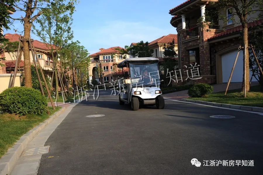 迪士尼别墅楼盘,上海浦东迪士尼花海自建房出售