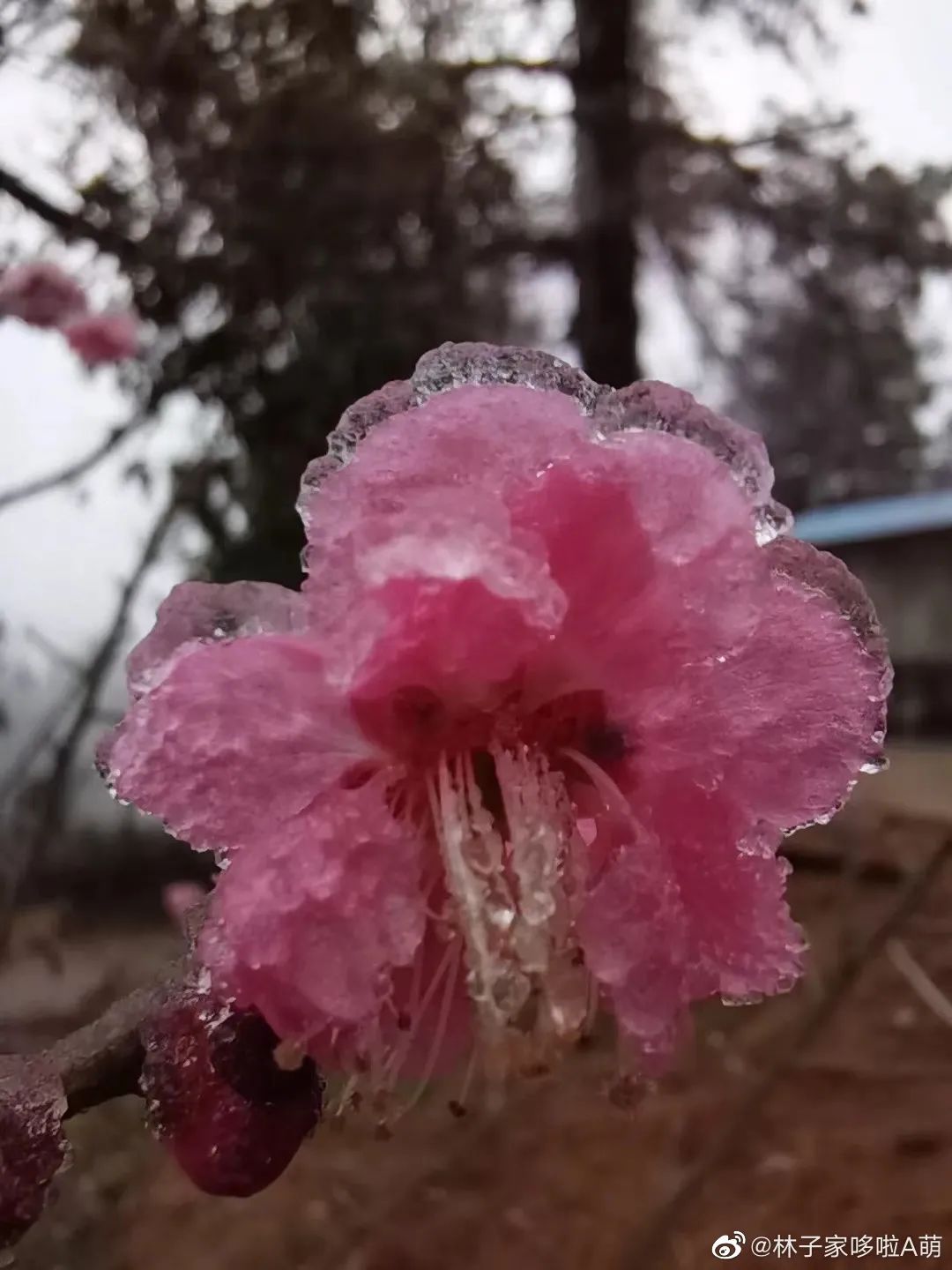 大寒潮小寒潮,寒潮带来大范围降雪