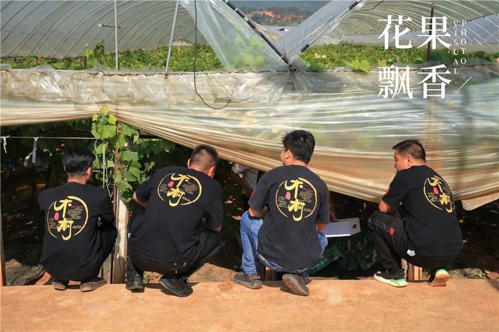 一位采购经理人的经验总结,一个采购员的真实感言