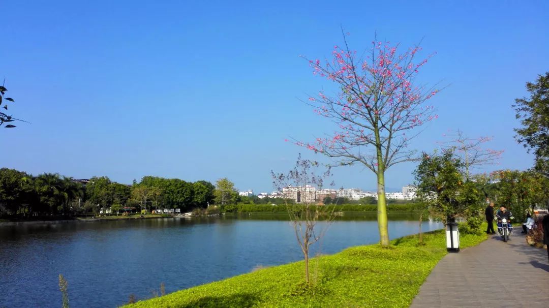 梅州游玩景点一日游免费,梅州免费旅游景点大全介绍