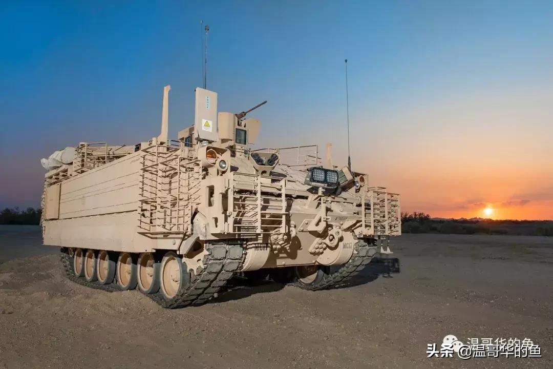 各种装甲运输车图片欣赏,各种各样装甲运兵车