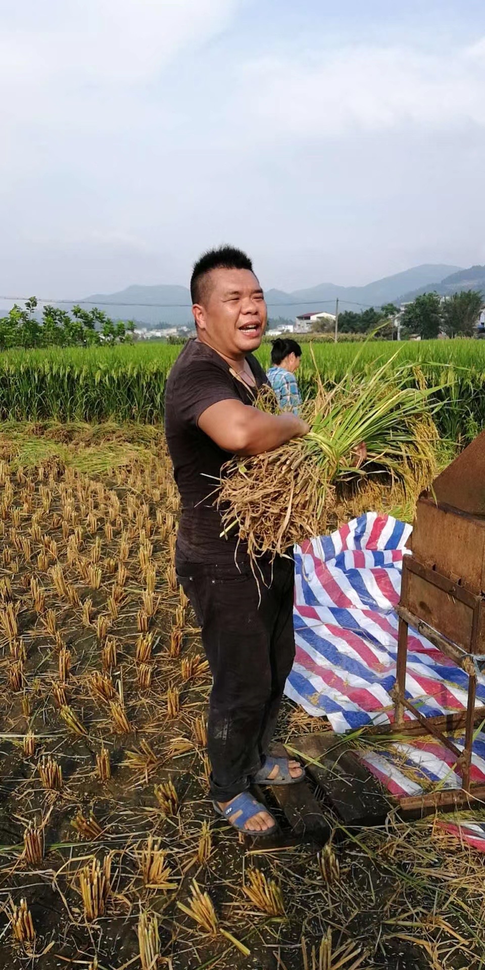 莫文蔚翻唱很火的歌,莫文蔚翻唱的十首歌