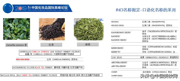 2019iPDM展|王有为:化妆品植物类原料命名的科学性与规范性