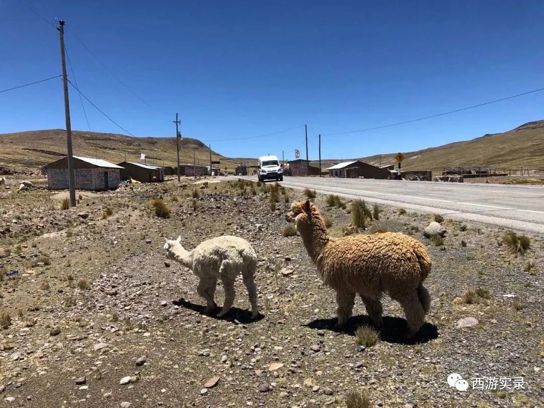 流浪地球载人的使命,流浪地球最后5000公里