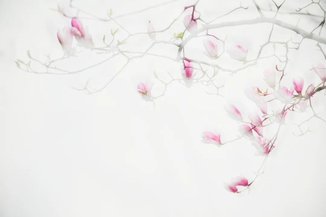 香港第14届全国摄影艺术展,第29届全国摄影艺术展览获奖名单