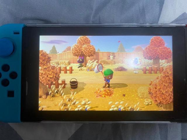 switch日服怎么搜动物之森,switch澳服如何购买