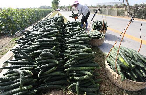 立春意味着新的一年农事的开始,立春和雨水与农事有什么关系