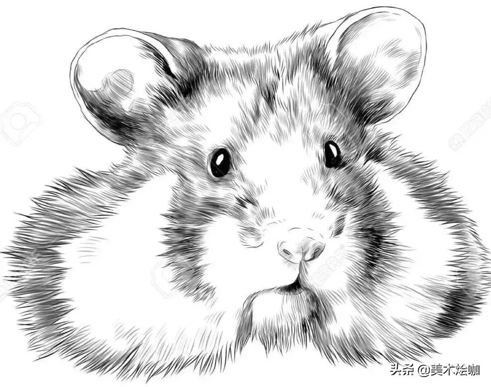 6-12岁儿童素描课程画动物,素描动物教程简单8-12岁