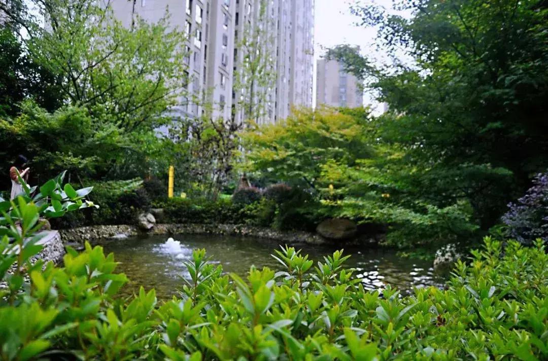 她在九江的12年，写下一部人居进阶的迭代史......