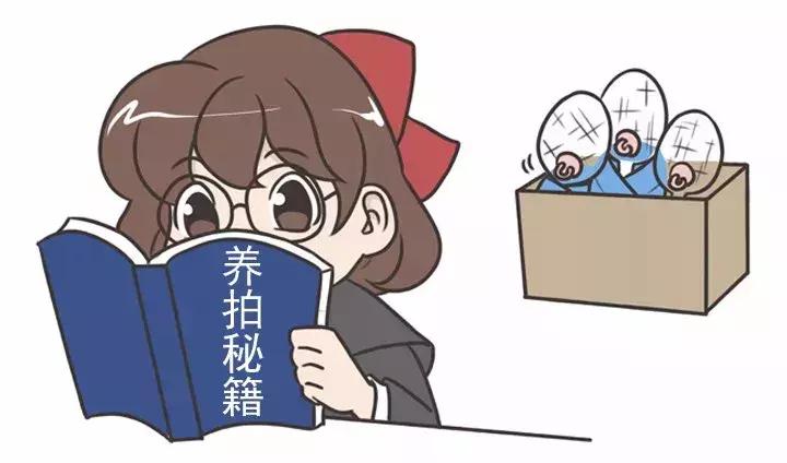 羽毛球拍怎么拍才不容易断,初学者选择羽毛球拍需要注意什么