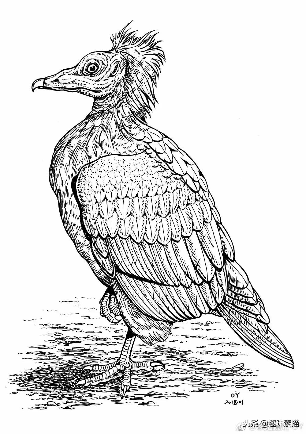 针管笔教程超适合初学者的笔,零基础针管笔教学