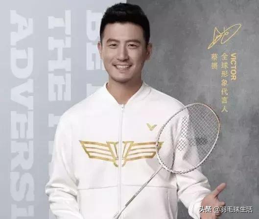 蔡赟体坛风云,风云生涯