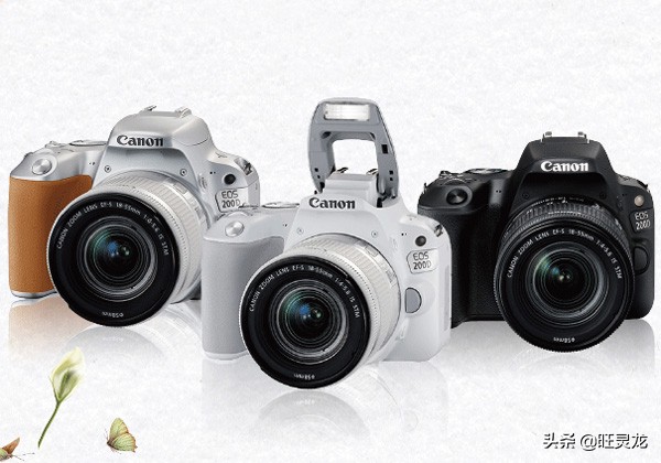 摄影零基础入门买佳能5d合适吗,尼康d850和佳能5d4拍人像哪个好