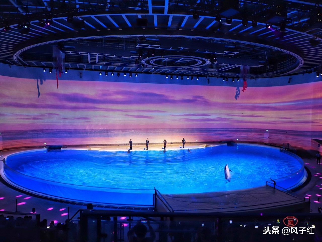 上海新地标丨海昌海洋公园一日游园玩法攻略