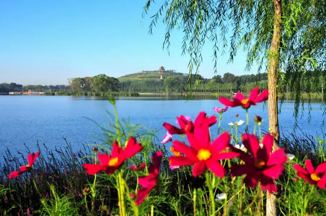 鍞愬北鍗楁箹缁樼敾浣滃搧,鍞愬北鍗楁箹缇庢櫙鏂囧瓧